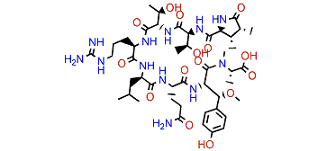 Callipeltin M